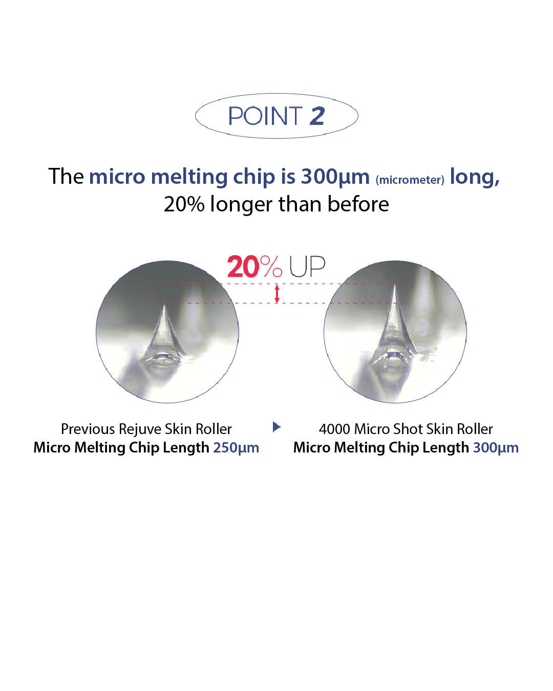 Lavien 4000 Micro Shot Skin Roller