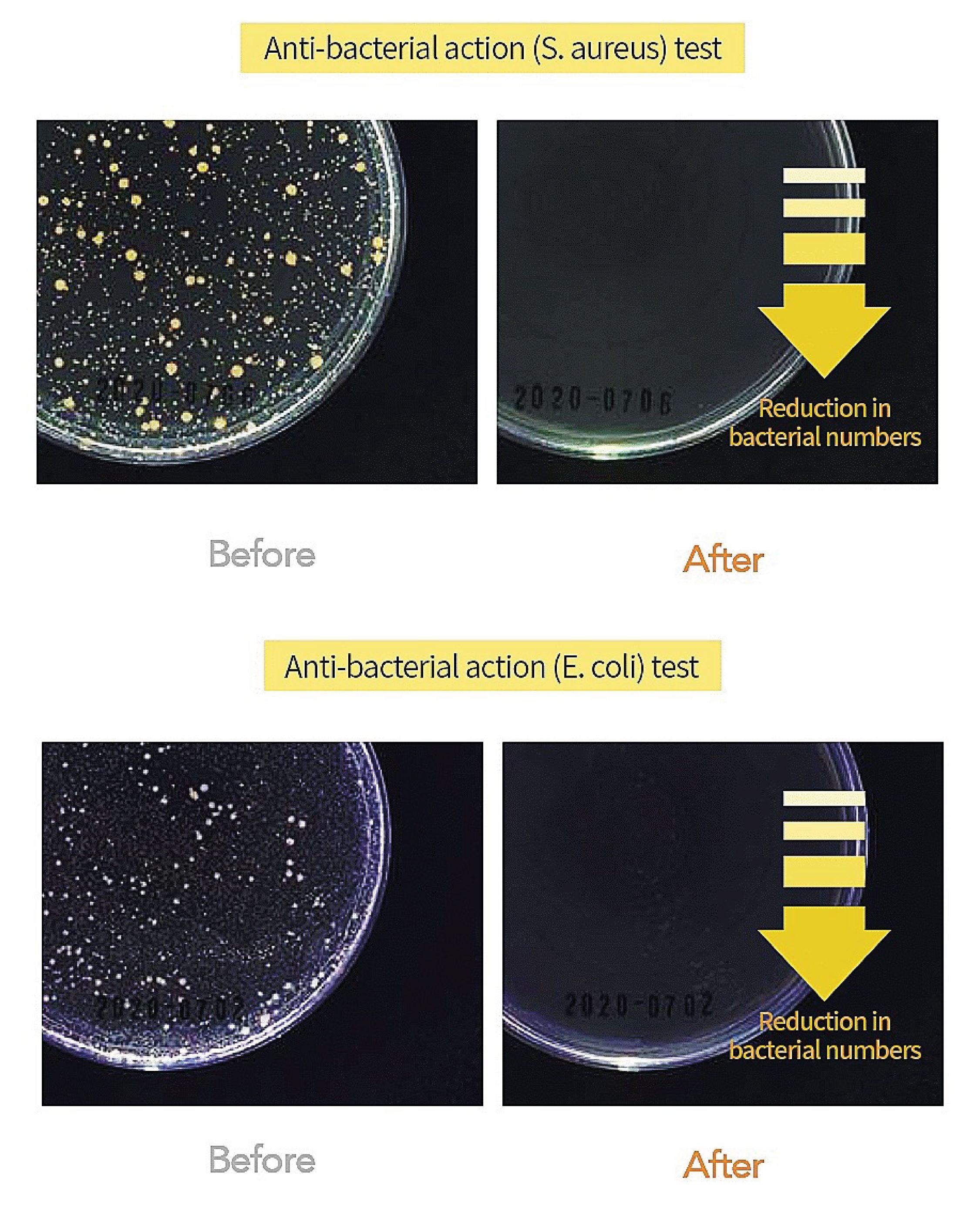 L:MOT Safe Dish Soap